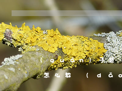 關(guān)于爸媽離婚應(yīng)該怎么教導(dǎo)孩子(孩子要離婚,父母該怎么做)