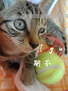 關(guān)于網(wǎng)上借貸逾期不還會怎么樣-網(wǎng)上借款逾期不還會怎么樣