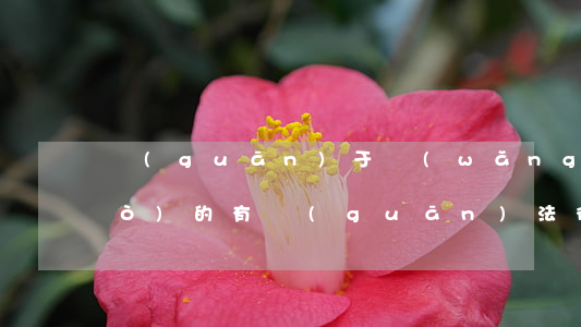 關(guān)于網(wǎng)絡(luò)的有關(guān)法律法規(guī)(關(guān)于網(wǎng)絡(luò)相關(guān)的法律法規(guī)有哪些)
