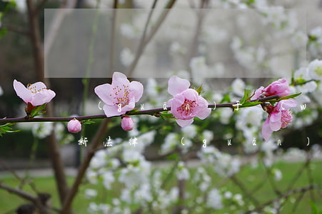 關(guān)于網(wǎng)貸催收最新法律(關(guān)于網(wǎng)貸催收最新法律文件)