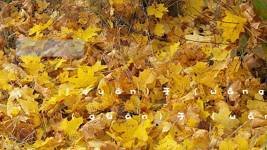 關(guān)于網(wǎng)貸還不起 關(guān)于網(wǎng)貸還不起坐牢嗎