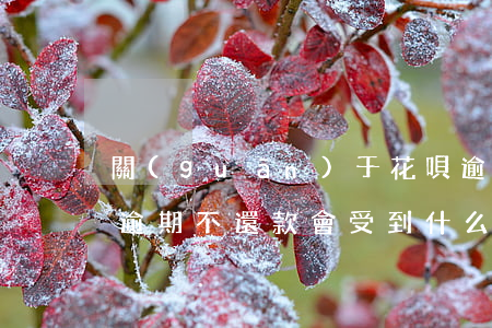 關(guān)于花唄逾期的法律問題(花唄逾期不還款會受到什么樣的懲罰)