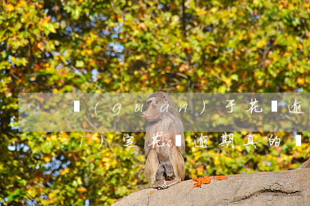 關(guān)于花唄逾期的法律規(guī)定(花唄逾期真的會被起訴追究刑事責(zé)任嗎)