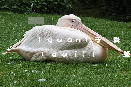 關(guān)于計算機(jī)的法律法規(guī)(與計算機(jī)相關(guān)的法律法規(guī)有哪些)