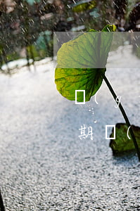 關(guān)于貸款逾期后保證人(貸款逾期擔(dān)保人)