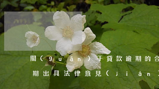 關(guān)于貸款逾期的合同法(貸款逾期出具法律意見(jiàn)書(shū))