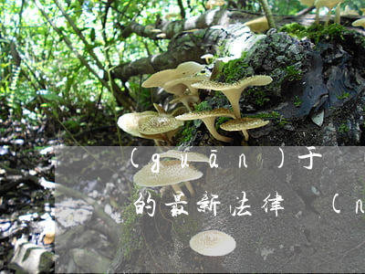 關(guān)于農(nóng)村房屋糾紛的最新法律(農(nóng)村房產(chǎn)糾紛)