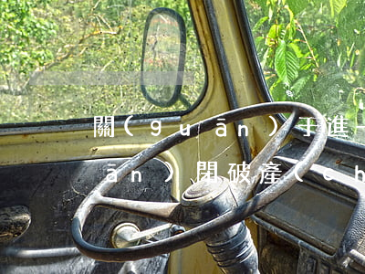 關(guān)于進一步做好省屬關(guān)閉破產(chǎn)煤礦職工安置工作的通知