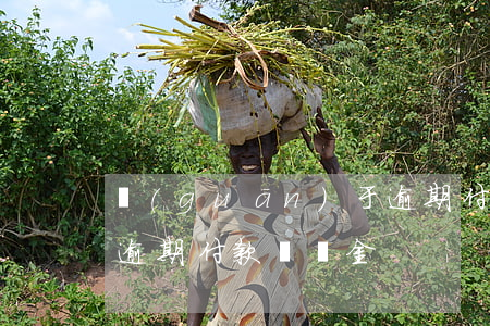 關(guān)于逾期付款違約金的溝通函(逾期付款違約金)