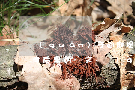 關(guān)于逾期提供證據(jù)法律后果的論文-關(guān)于逾期提供證據(jù)法律后果的論文怎么寫