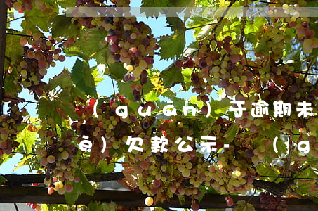 關(guān)于逾期未支付中小企業(yè)欠款公示-關(guān)于逾期未支付中小企業(yè)欠款公示怎么寫