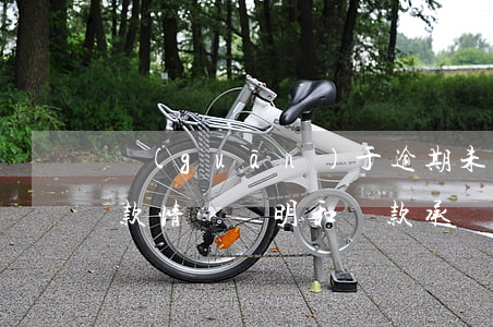 關(guān)于逾期未還款的說明(逾期還款情況說明和還款承諾)