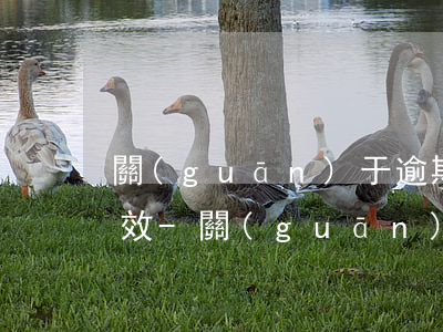 關(guān)于逾期辦證違約金的訴訟時效-關(guān)于逾期辦證違約金的訴訟時效規(guī)定
