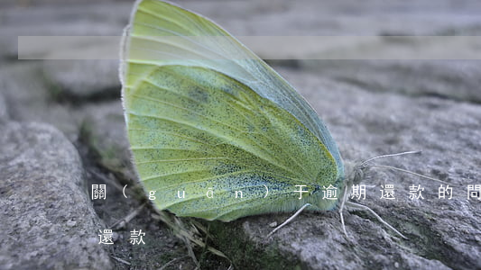 關(guān)于逾期還款的問題(貸款逾期還款)