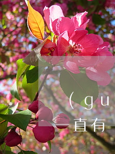關(guān)于逾期還款的四大謠言(逾期一直有還款會怎么樣)