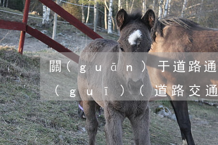 關(guān)于道路通行方面的法律法規(guī)(道路交通安全法律法規(guī)關(guān)于道路通行規(guī)定有哪些)