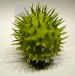 關(guān)于遲延履行期間的債務(wù)利息計(jì)算