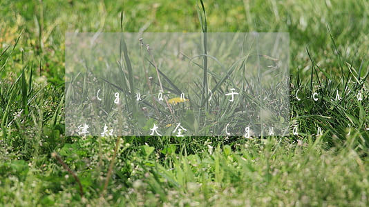 關(guān)于遺產(chǎn)繼承法律知識大全(關(guān)于繼承遺產(chǎn)的法律)