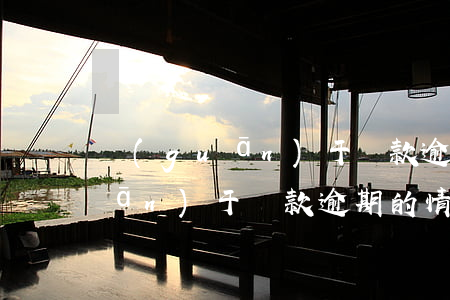 關(guān)于還款逾期的說明(關(guān)于貸款逾期的情況說明)