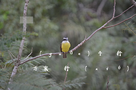 關(guān)于銀行協(xié)商還款方案 銀行協(xié)商還款方案正常還款期間逾期
