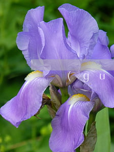 關(guān)于銀行貸款逾期怎么辦