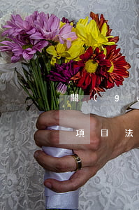 關(guān)于開展公路建設(shè)項目法人負(fù)責(zé)人培訓(xùn)工作的通知