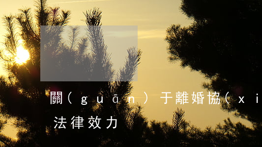 關(guān)于離婚協(xié)議書的法律效力