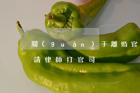 關(guān)于離婚官司怎么打(離婚怎么請律師打官司)