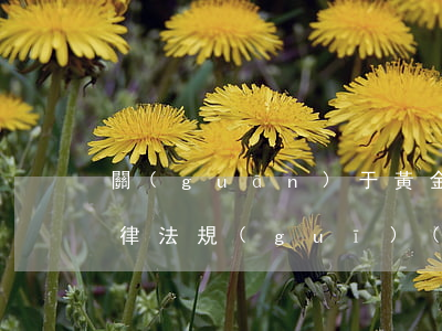 關(guān)于黃金開(kāi)采的法律法規(guī)(國(guó)家對(duì)金礦開(kāi)采有什么要求和規(guī)章制度)