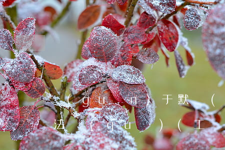 關(guān)于默認(rèn)薪資法律法規(guī)(工資的法律規(guī)定有哪些)