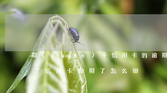 關(guān)干信用卡的逾期怎么辦(刑拘了信用卡逾期了怎么辦)