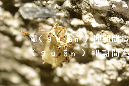 關(guān)押期間造成信用卡逾期-關(guān)押期間造成信用卡逾期會怎么樣