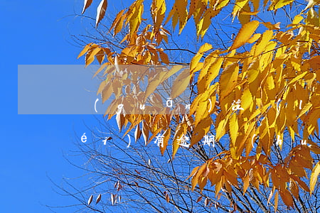 關(guān)注類(lèi)貸款沒(méi)有逾期會(huì)怎么樣（關(guān)注類(lèi)貸款沒(méi)有逾期）