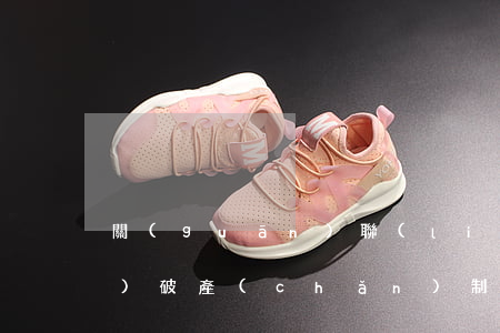 關(guān)聯(lián)企業(yè)破產(chǎn)制度的規(guī)范與完善 ——《全國法院破產(chǎn)審判工作會(huì)議紀(jì)要》的解讀