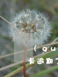 關(guān)聯(lián)保單的信用卡逾期了
