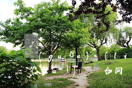 關(guān)聯(lián)公司之間對(duì)買賣合同債務(wù)承擔(dān)連帶責(zé)任案例