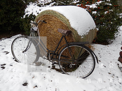 關(guān)連公司股東惡意欠信用卡款項-股東欠信用卡對公司有影響嗎
