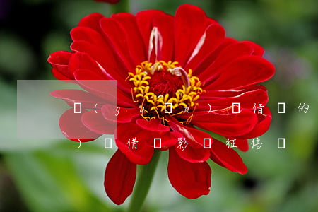 關(guān)閉借唄的好處(關(guān)閉借唄影響征信嗎)