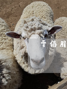 關于信用卡利息的視頻