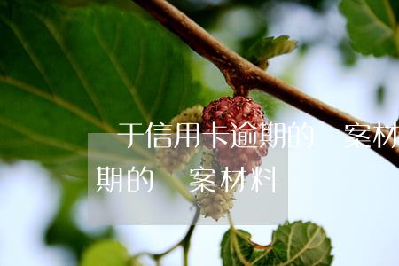 關于信用卡逾期的報案材料-關于信用卡逾期的報案材料