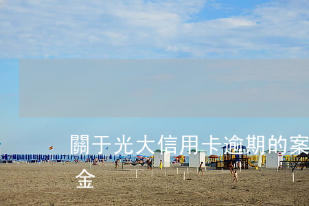 關于光大信用卡逾期的案例(光大信用卡 違約金)