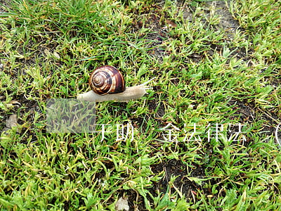 關于助學金法律法規(助學金的標準)