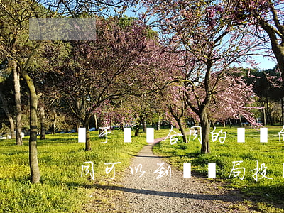 關于勞動合同的問題向哪里投訴(沒有勞動合同可以到勞動局投訴嗎)