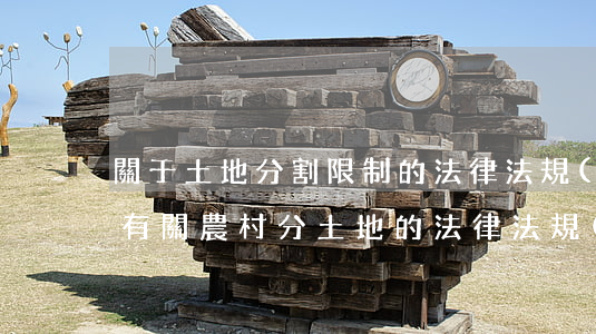 關于土地分割限制的法律法規(guī)(有關農村分土地的法律法規(guī)嗎)