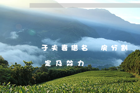 關于夫妻借名買房分割財產(chǎn)的認定及效力