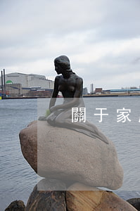 關于家庭家暴