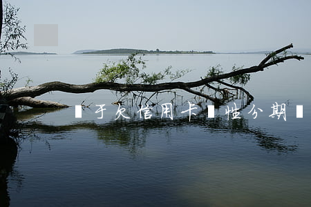 關于欠信用卡個性分期(個性化分期還不上)