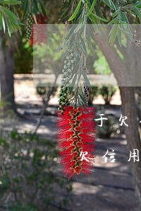 關于欠信用卡錢的最新規(guī)定(關于欠信用卡不還的法律法規(guī))