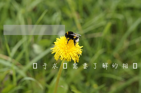 關于求職需要了解的相關法律問題 關于求職需要了解的相關法律問題
