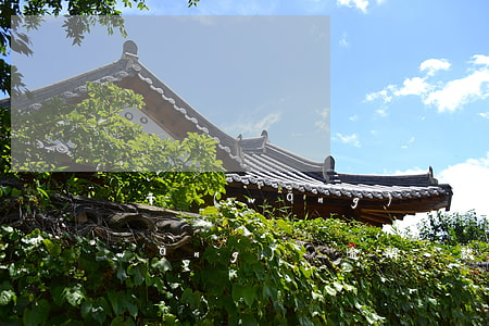 關于網(wǎng)貸逾期的違法條例(網(wǎng)貸逾期罰款多少)